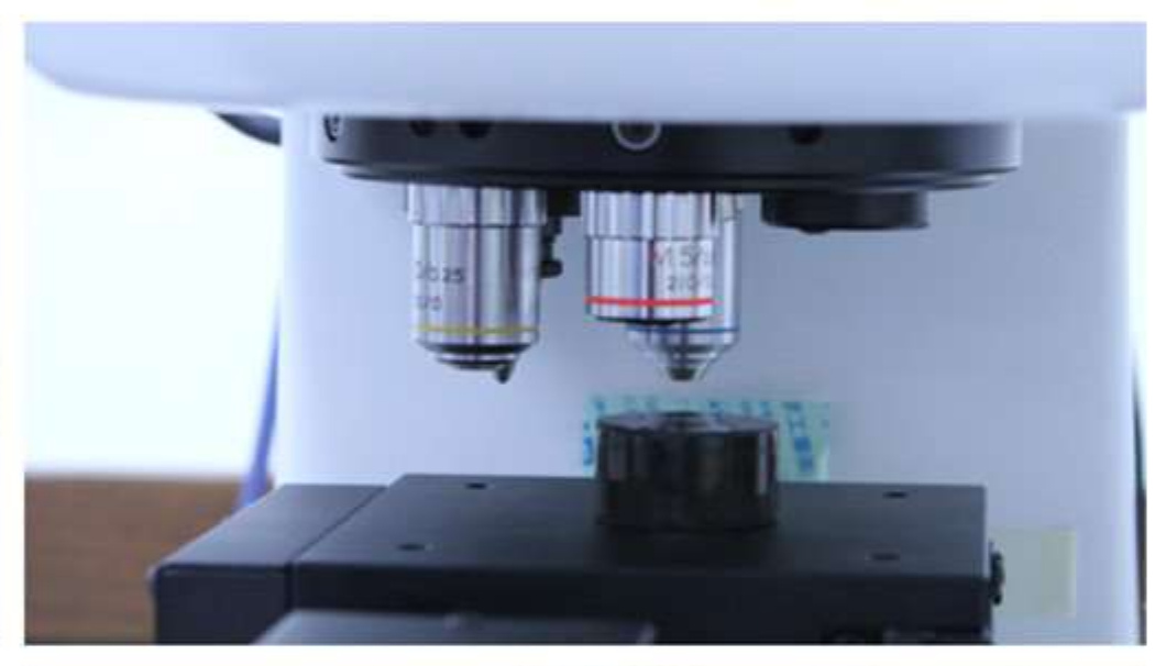 Taiwan Nakazawa Microscope Stage
