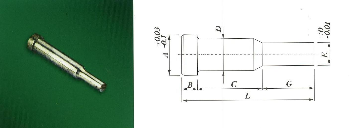 Shoulder Pin